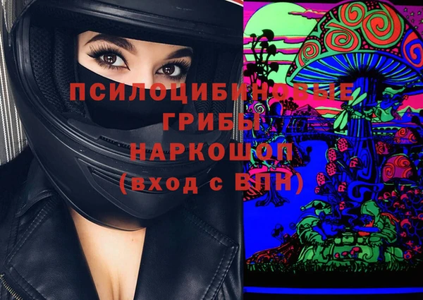 гидропоника Михайлов