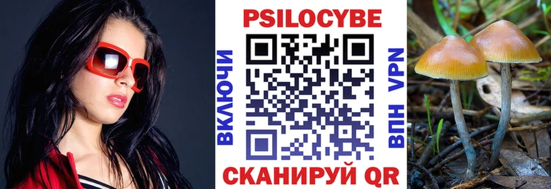 Галлюциногенные грибы Magic Shrooms  даркнет телеграм  Нарткала  купить наркоту 