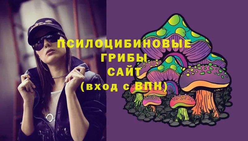 ссылка на мегу как зайти  Нарткала  Галлюциногенные грибы Psilocybine cubensis 