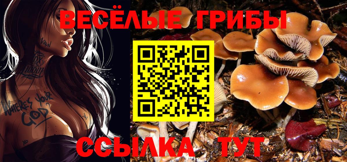 Псилоцибиновые грибы MAGIC MUSHROOMS  Галлюциногенные грибы мухоморы  Нарткала  Вход с VPN 